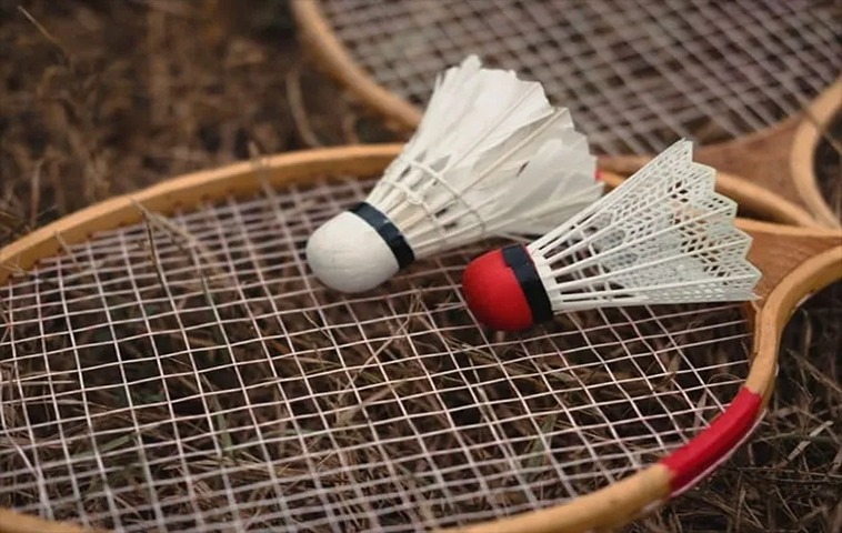 Cách Chơi Cá Cược Cầu Lông Tại MOT88: Bí Quyết Từ Dân Chuyên Nghiệp